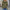 Elegante und zeitlose Strickjacke