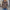 Elegante und zeitlose Strickjacke