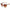 WW | Cat Eye Retro Fahrender Runde Metallrahmen Sonnenbrille