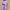 WW | Stylisches Set mit Top und Shorts