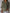 WW | Relaxed Fit Baumwolle Leinen Sommer Shirt