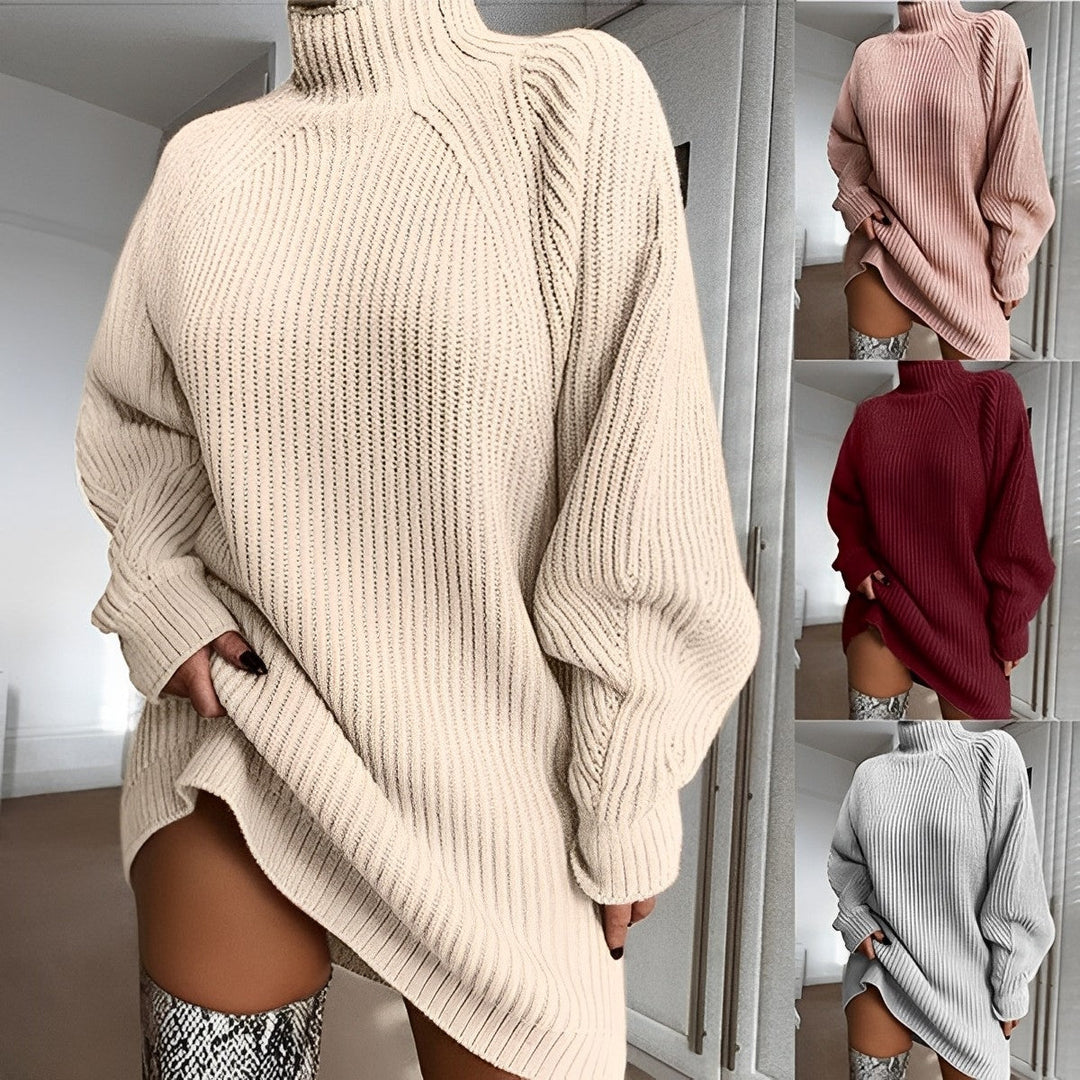 W&W Mode | Warmes Strickkleid Mit Rollkragen