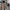 WW | Warmer Kapuzenpullover Mit Ohren
