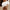 WW | Off Shoulder Schichtoberteil