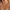 WW | Set - eleganter geschichteter Damenschmuck