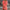 WW | Strickkleid aus Baumwolle und Leinen