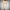 WW | Herren Schwarz Hose Sommer