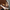 WW | Herren Schwarz Loafer Sommer