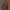 WW | Leder Blazer Herren Jacke