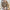 WW - Bequeme Jacke mit Knopfdetails