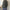 Hochwertige Jacke mit Knopfdetails