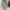 WW | Das Ultimative Festkleid mit Sofisticatedem Aussehen