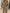 WW | Das Ultimative Festkleid mit Sofisticatedem Aussehen