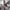 WW | Schlichte Hohe Taille Schlagweite Schlanke Lange Lockere Hose