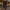WW | Herren Sommer Hose Elegant