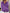 WW | Eleganter Strickjacke