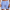 WW | Stilvolle Boardshorts Für Den Sommer