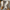 WW | Orthopädische Schuhe Damen Sneakers Trendy & Bequem