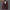 WW | Stilvolle Leder Herren Blazer Klassischer Schnitt
