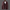 WW | Stilvolle Leder Herren Blazer Klassischer Schnitt