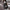 WW | Der zeitlose Trenchcoat für jede modebewusste Garderobe