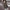 WW | Der zeitlose Trenchcoat für jede modebewusste Garderobe