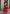 WOLF Langes Clubkleid