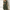 WW | Stilvolles Lockeres Casual Kleid Mit Taschen