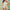 WW | Einzigartiger Low Back Cheeky Sheer Mesh Spliced Brasilianischer Einteiler Badeanzug