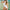 WW | Einzigartiger Low Back Cheeky Sheer Mesh Spliced Brasilianischer Einteiler Badeanzug