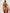 WW | 3 Teiliges Lingerieset