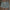 WW | Herren Badeshorts Modisch Und Bequem