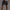 Stripe Herrenshorts