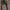 Stripe Herrenshorts
