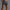 Stripe Herrenshorts