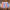 WW | Herren Badeshorts Modisch Und Bequem