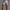 Stripe Herrenshorts