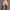 Stripe Herrenshorts