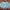 WW | Herren Badeshorts Modisch Und Bequem