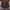 WW | Herren Badeshorts Modisch Und Bequem