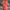 WW | Leichtgewicht Midi Cover up Kleid Für Strand Und Bademode