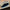 WW | Herren Wildleder Slipper