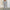 WW Twinset | Komfortables, modisches Oversized-Jogging-Set für Damen