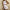 WW | Kurzes Sommerkleid