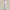 WW | Stilvolle Sommer Leinen Herrenhose