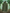 WW | Herren Wasserdicht Regenjacke Leichte