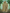 WW | Herren Wasserdicht Regenjacke Leichte