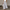 WW | Weite Hose Damen Elegant