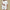 WW | Stylisches Set mit Top und Shorts