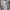 WW | Stylisches Set aus Leinen